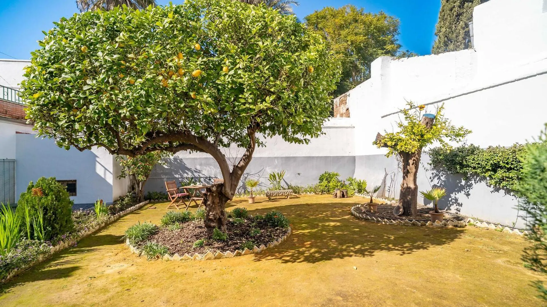 Appartement La Casa Del Limonero à Peñaflor